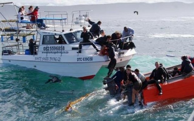 Die reddingspoging tydens die 2008 Haaikykboot-tragedie.